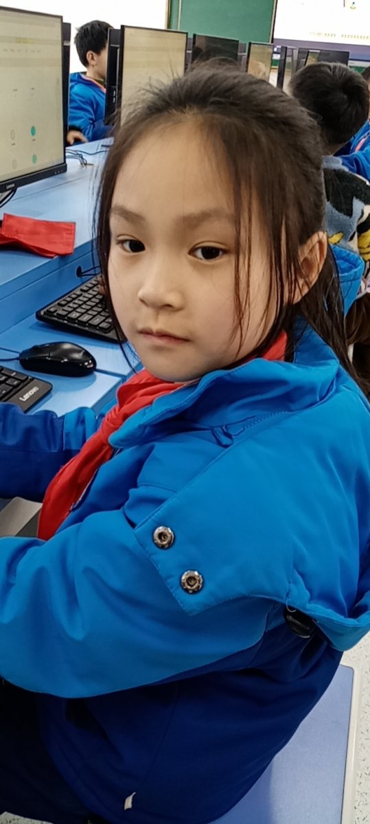 杨夏
